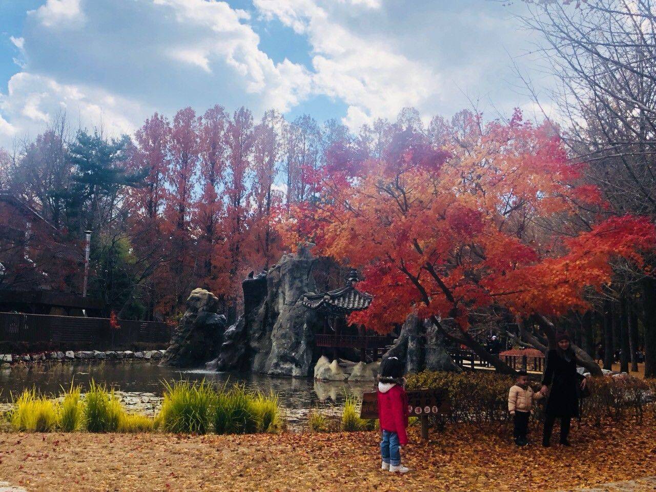 星程旅遊獨家優惠｜日本、韓國、泰國  - 活動門票/套票/一天團 (團號:NC-01) 春川三岳山湖水纜車,南怡島紅葉 一天團 5