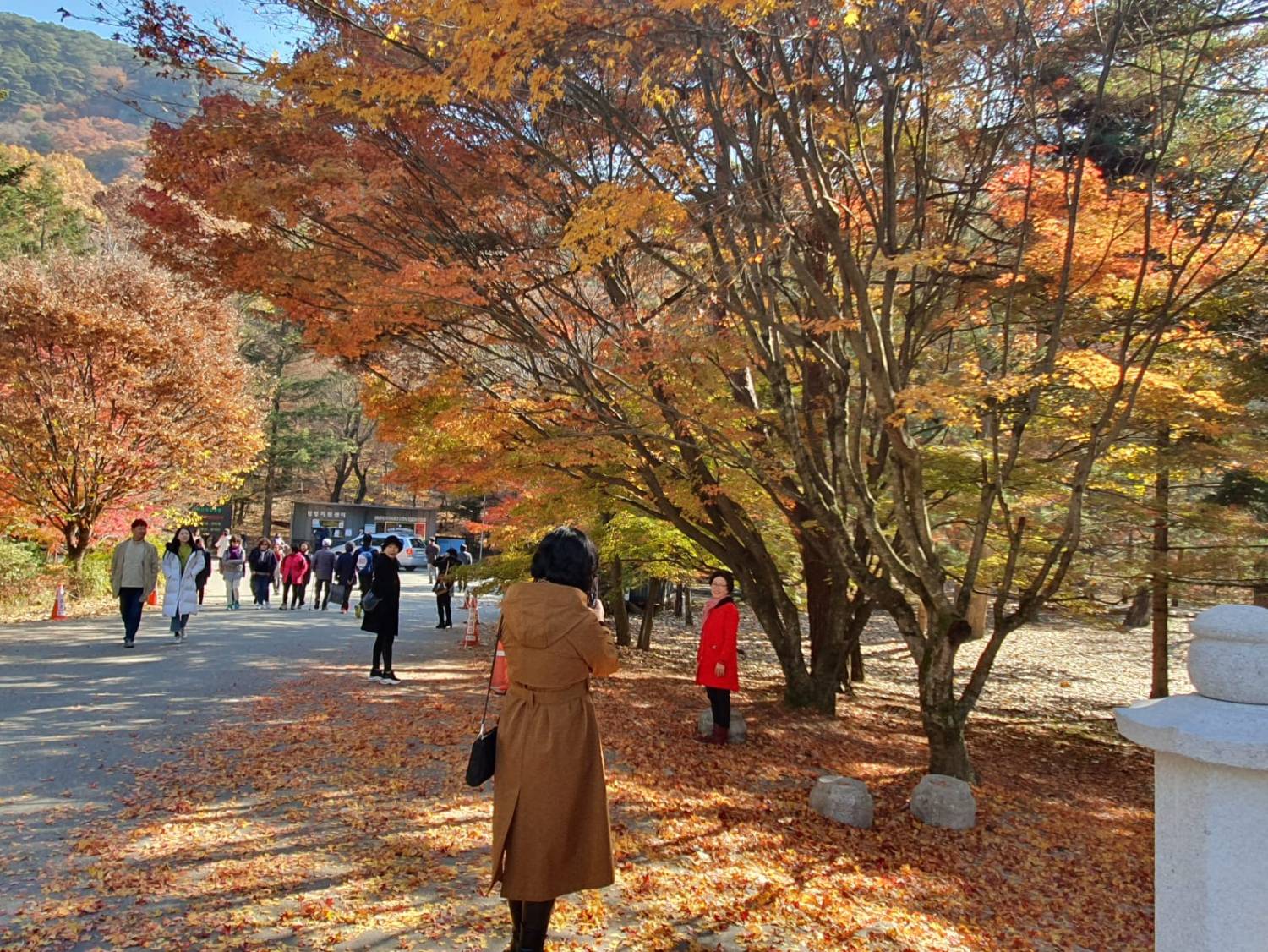 星程旅遊獨家優惠｜日本、韓國、泰國  - 活動門票/套票/一天團 (團號:MT-01) (10月&11月份) 追楓葉銀杏韓劇美景拍攝地健行 一天團 17