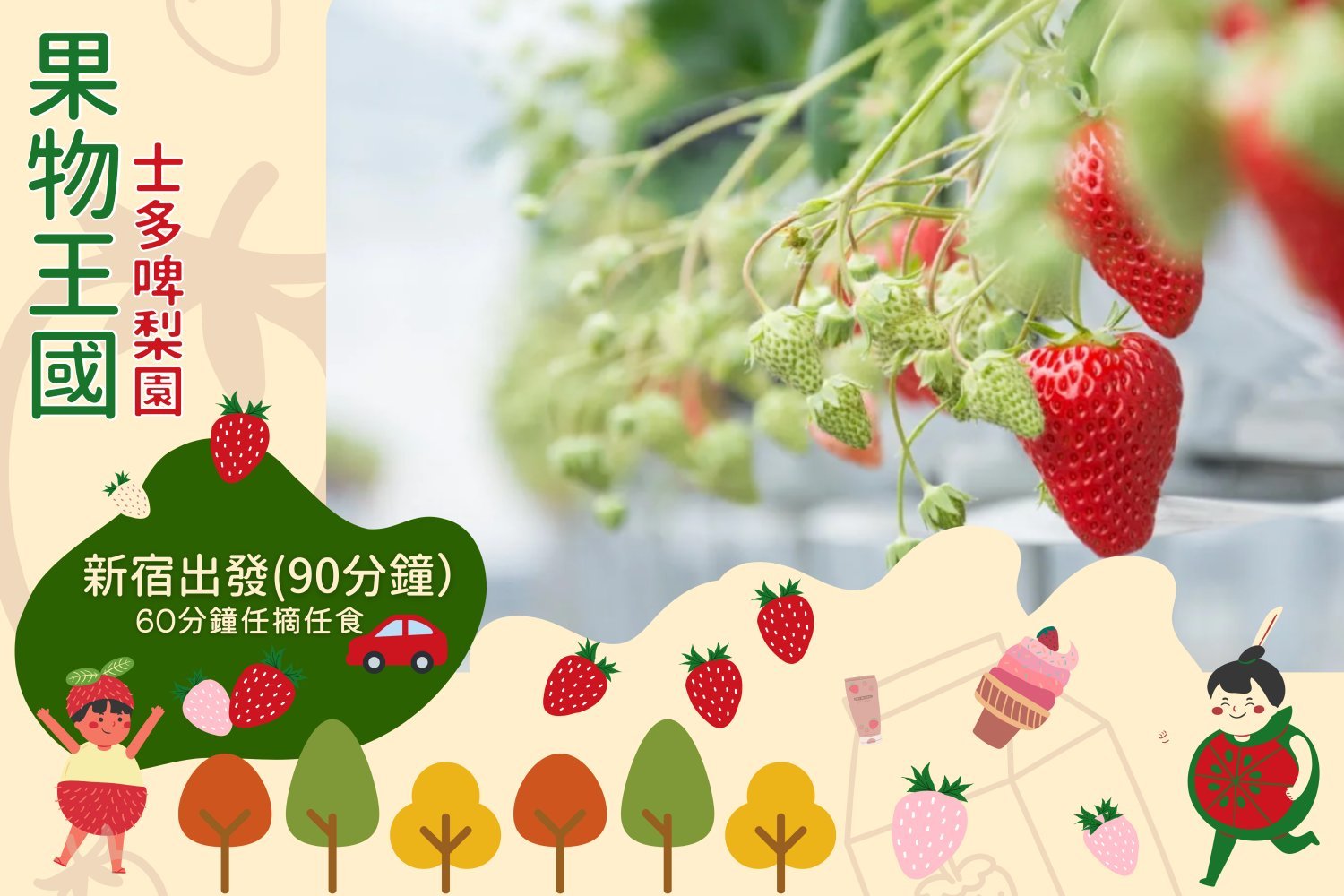 Young's Holidays 悠揚假期 【任摘任食淡雪】東京山梨果物王國八種草莓60分鐘放題體驗 1