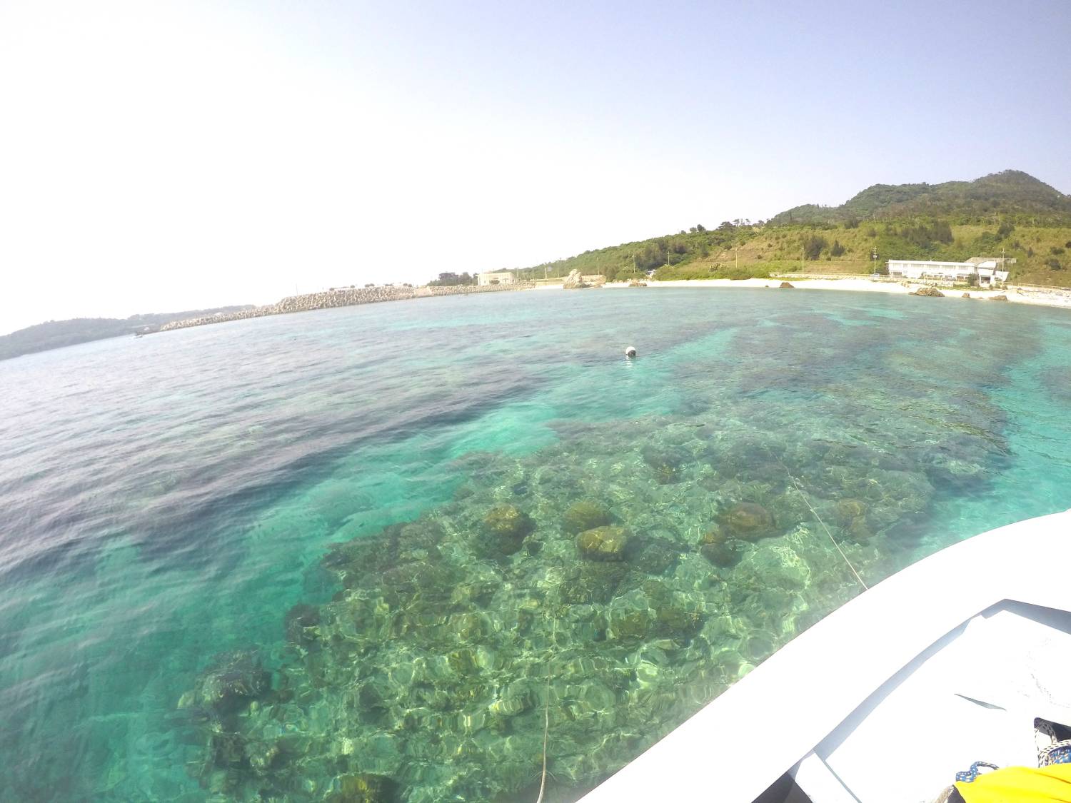 【日本露營及戶外活動旅行社】 LIVE.LAUGH.TRAVEL 【北部出發】美麗海水族館附近！瀬底海灘進行船浮潛 4