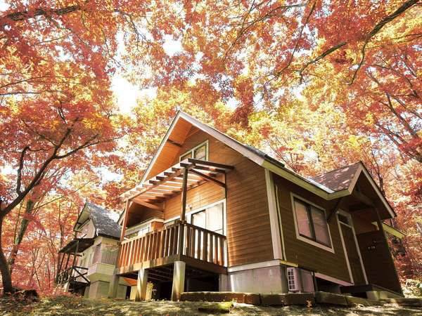星程旅遊獨家優惠|日本、韓國、泰國 - 活動門票/套票/一天團 立山黑部紅葉三天團◎白川鄉◎上高地◎高山古街◎近江町市場◎包飛弾和牛◎包金箔雪糕◎包觀星私人風呂小木屋 KNT-03A 名古屋出發 1