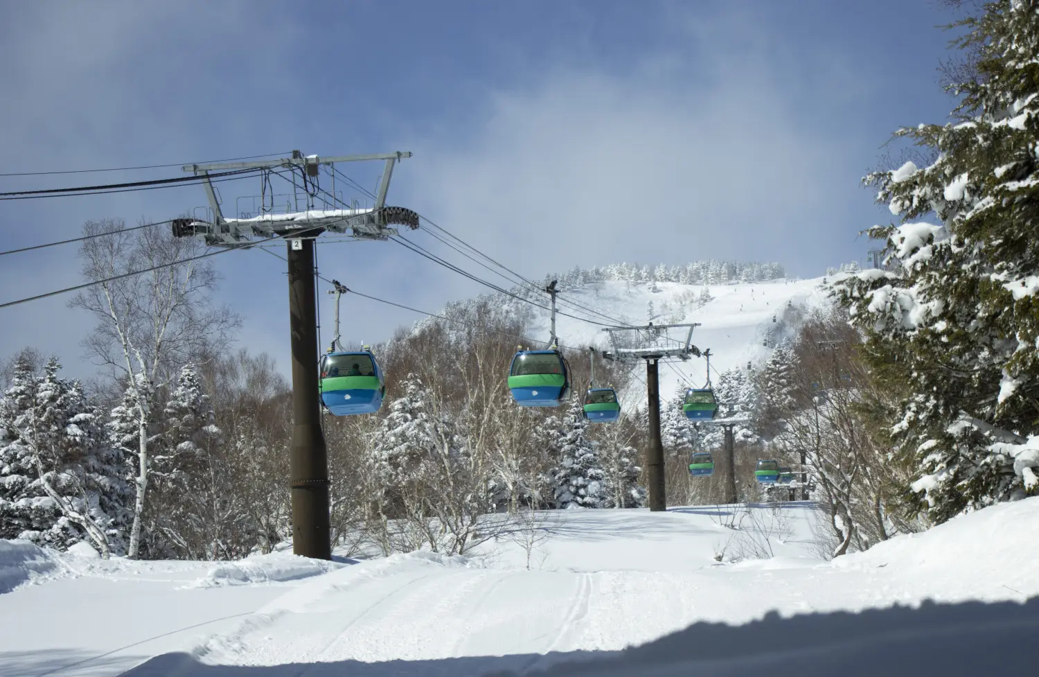 Young's Holidays - Diving Tours, Self-Drive Trips, Japan Campervans 【Nagano】Shiga Kogen Prince Hotel (East Building) Japan Ski Package 5