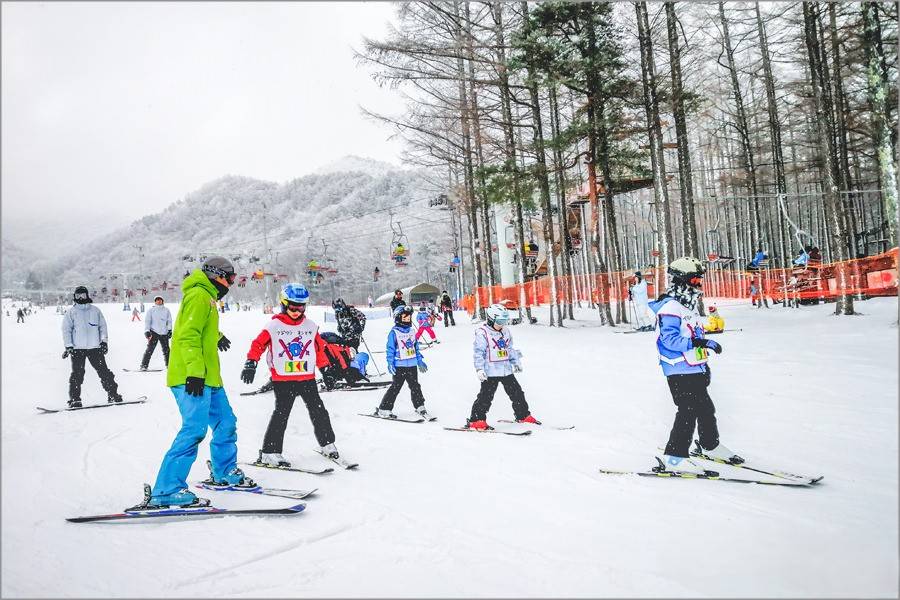 星程旅遊獨家優惠|日本、韓國、泰國 - 活動門票/套票/一天團 東京滑雪溫泉豬苗代3天團(只見川橋、時令草莓果園、大內宿、豬苗代湖)KJC-03 2