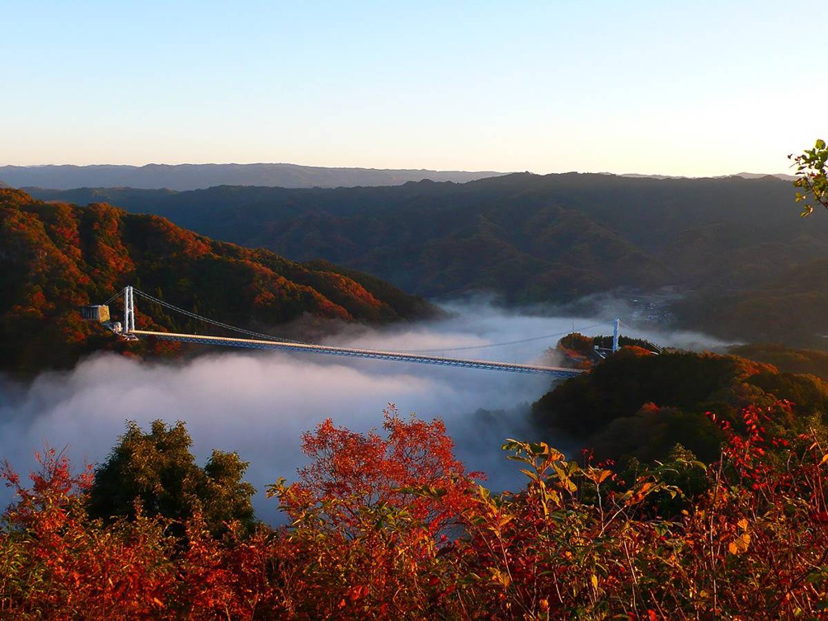 星程旅遊獨家優惠|日本、韓國、泰國 - 活動門票/套票/一天團 東京大洗紅葉 2天團 (花貫渓谷、那珂湊魚市場、銀杏並木、日立車站、神龍吊橋、牛久大佛) KTK-02A 4