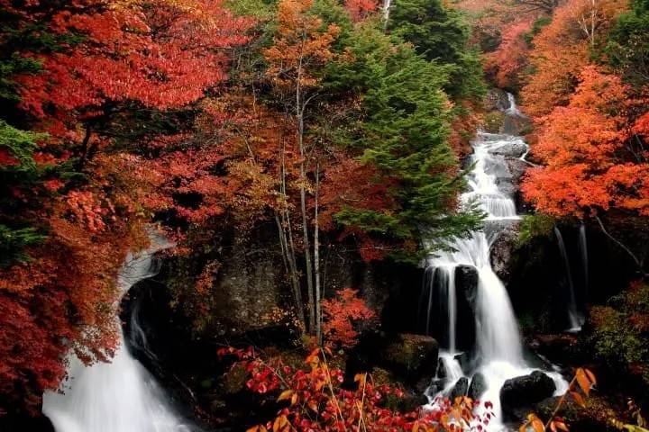 星程旅遊獨家優惠|日本、韓國、泰國 - 活動門票/套票/一天團 日光紅葉包車2天遊-(東照宮、神橋、伊呂波坂、佐野OUTLET、華嚴瀑布、中禅寺) (KTK-02A2) 2