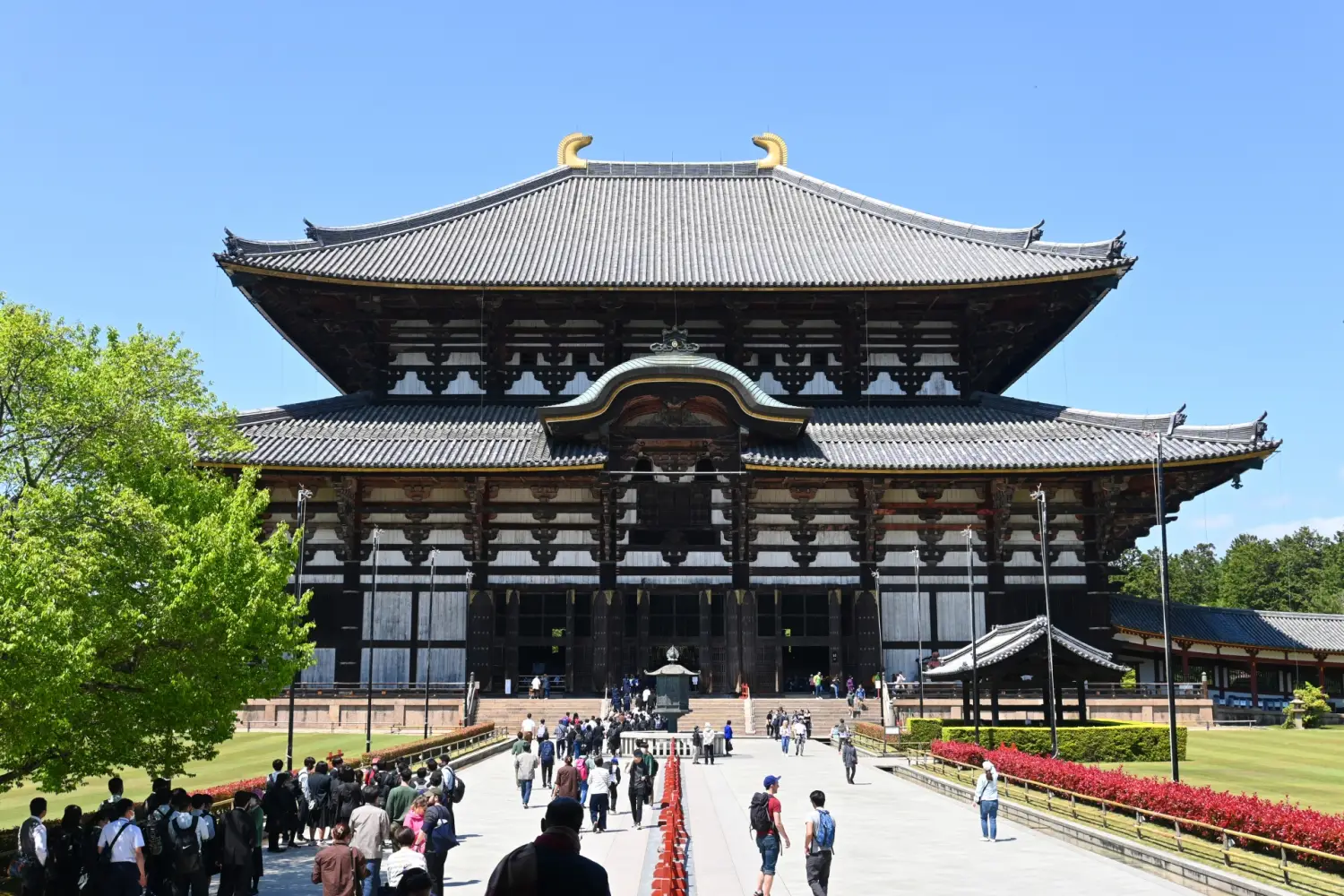 海日旅行社 【日本 一人成團系列】京都、奈良【東大寺、金閣寺、嵐山】1天團 3