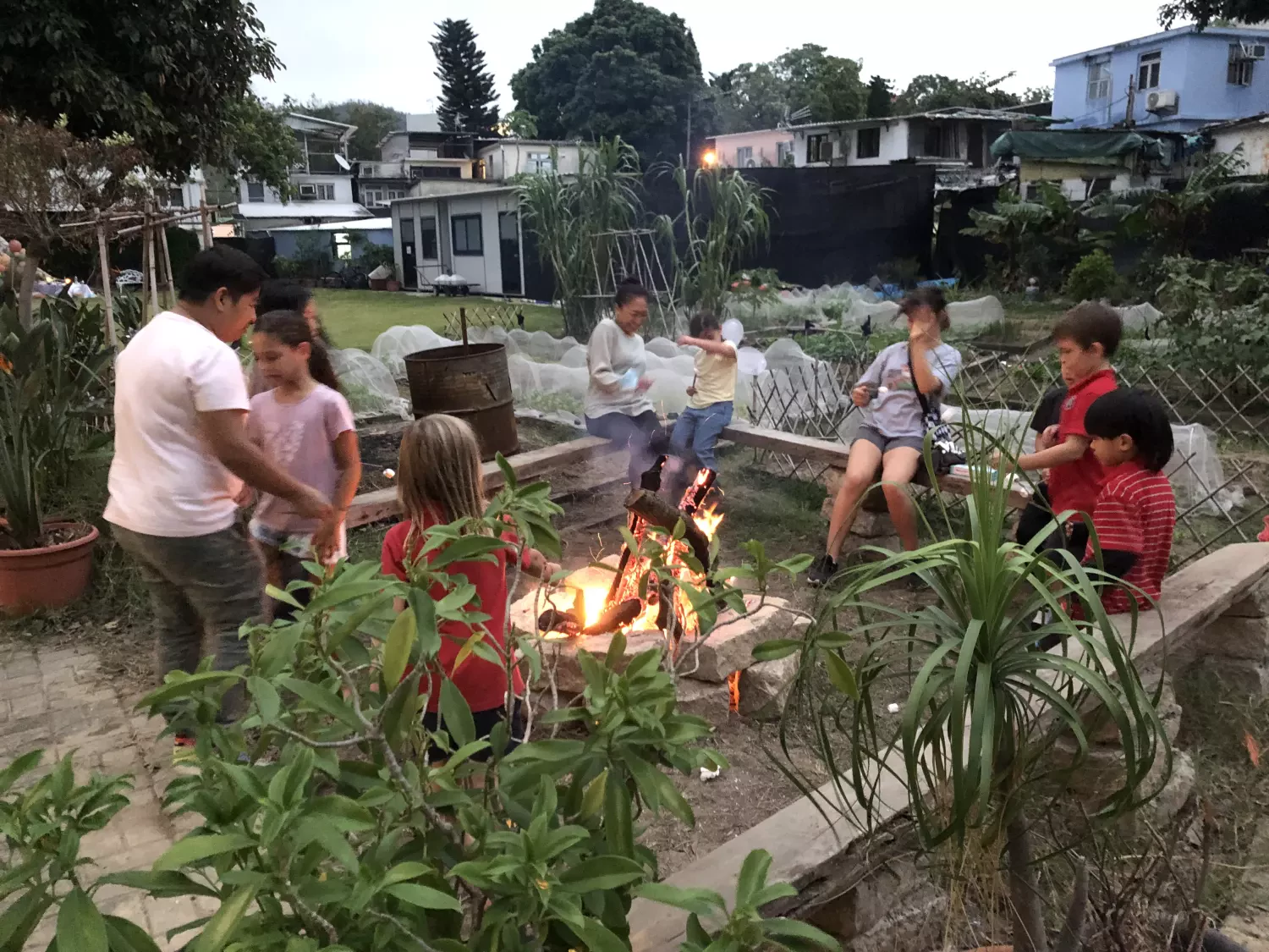 Wellbeing farm 梅窩 Wellbeing Farm 包場舉辦私人活動 3