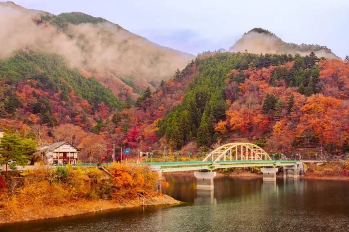 星程旅遊獨家優惠|日本、韓國、泰國 - 活動門票/套票/一天團 東京紅葉一天團【紅葉名所-高尾山 ▎奥多摩湖~ 麥山浮橋 】(KTM-01A) 5