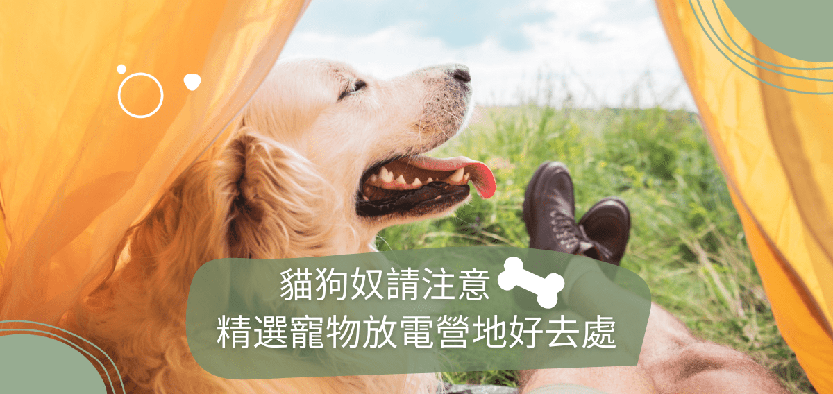 Holimood Promotion - 貓狗奴請注意 - 精選寵物放電必好去處