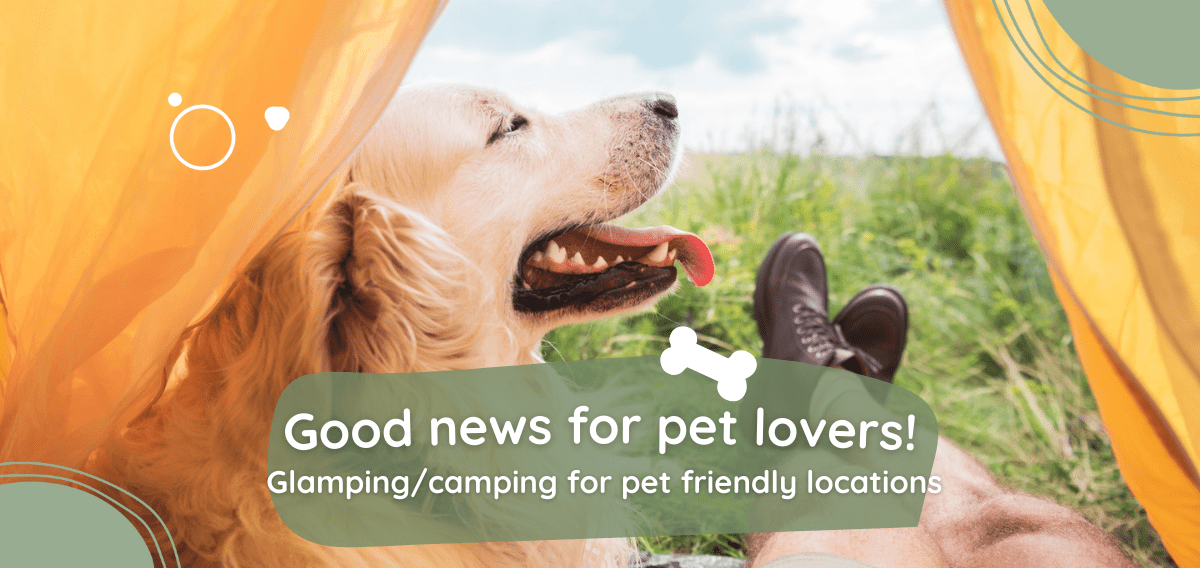 Holimood Promotion - Good news for pet lovers! Brand-new luxury dog camping park opened in 2026